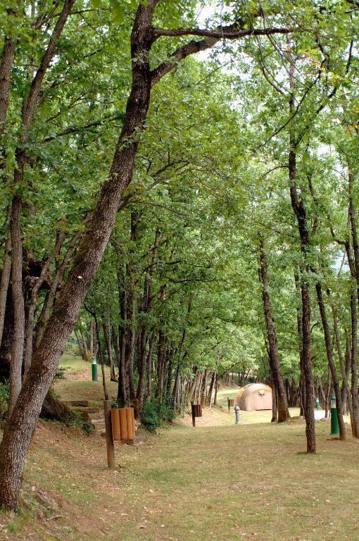 Camping Gavin Ξενοδοχείο Εξωτερικό φωτογραφία