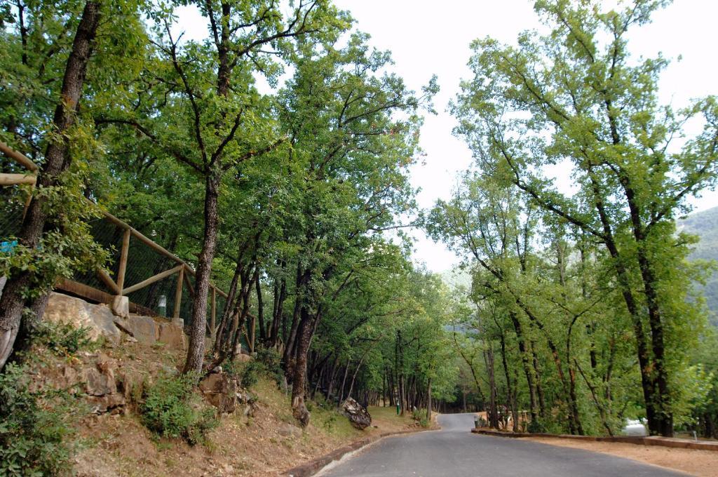 Camping Gavin Ξενοδοχείο Εξωτερικό φωτογραφία